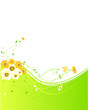 flowers background with butterfly 