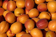 Abricots, étal au marché Abricots, étal au marché