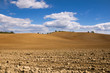 Tuscany red land and blue sky with white cloud.
