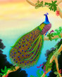 Green Peafowl