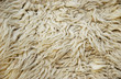 sheep skin sheep skin