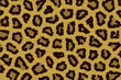 Texture leopardo