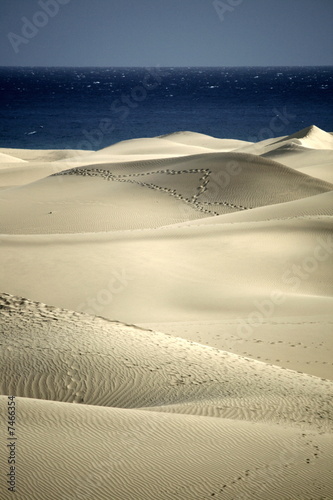Foto: Sur de Gran Canaria Sur de Gran Canaria