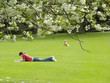 Studying in the park