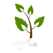 Tree icon