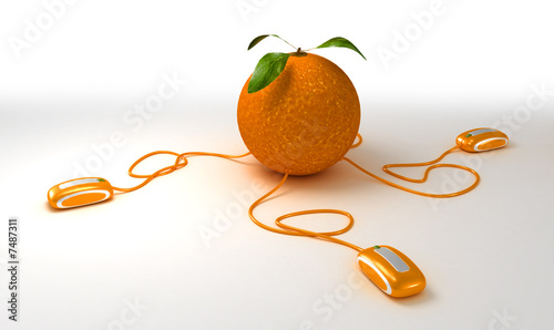 Orange web ball