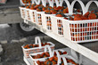 Fresh Strawberries in baskets Fresh Strawberries in baskets