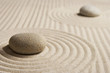 Mini zen garden