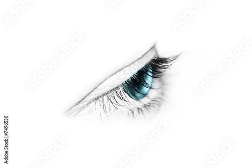 Photo: eye detail closeup eye detail closeup
