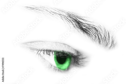 Photo: eye detail closeup eye detail closeup