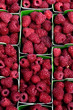 Framboises en barquettes au marché Framboises en barquettes au marché