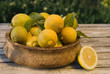 Ripening Lemons