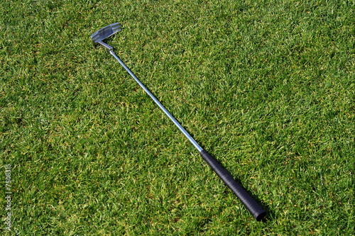 Photo: Golf club lying in the grass. Golf club lying in the grass.
