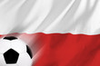  soccer ball and polish flag