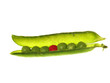 Peas in a pod - individuality concept Peas in a pod - individuality concept