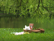 Picnic