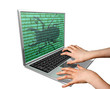 Computer Bug