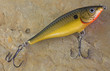fishing lure