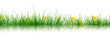 Gras