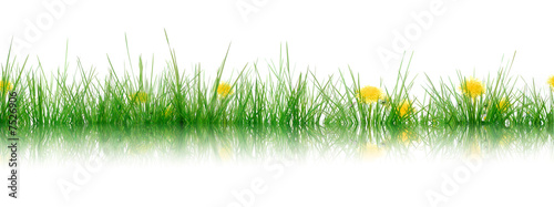 Gras
