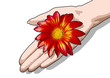 hand flower