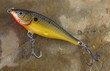 terminal tackle