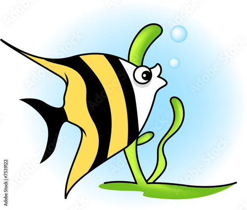 angel fish    fredy sujono  7539122   see portfolio