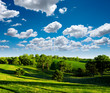 Green Meadow Green Meadow