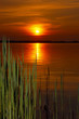 Photo: Sunset Sunset
