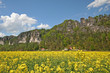Bastei