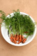 Fresh carrots 2..