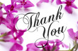 Thank You