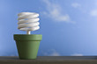 Single CFL Sprout Pot Single CFL Sprout Pot