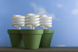 Three CFL Sprout Pots Three CFL Sprout Pots