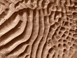 dirt texture dirt texture