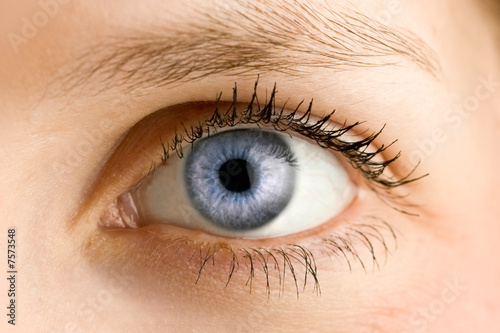 Auge - Blau