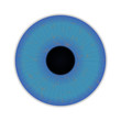 auge