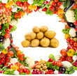 Pile of potatoes in the vegetable frame