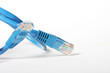 network cable