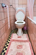 Dirty toilet