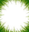 Gras