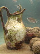 Foto: Tauchen Karibik Grenada 2008/12 Tauchen Karibik Grenada 2008/12