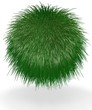 Ball of Green Long Grass