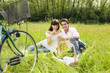 meadow