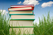 Books on the grass
