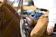 western riding equipment detail