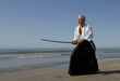 aikido