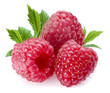 Raspberries