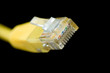 Network cable