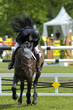 Image : jumping9303